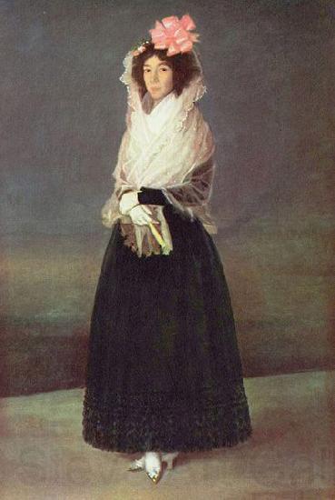 Francisco de Goya Portrat der Comtesse del Carpio Spain oil painting art